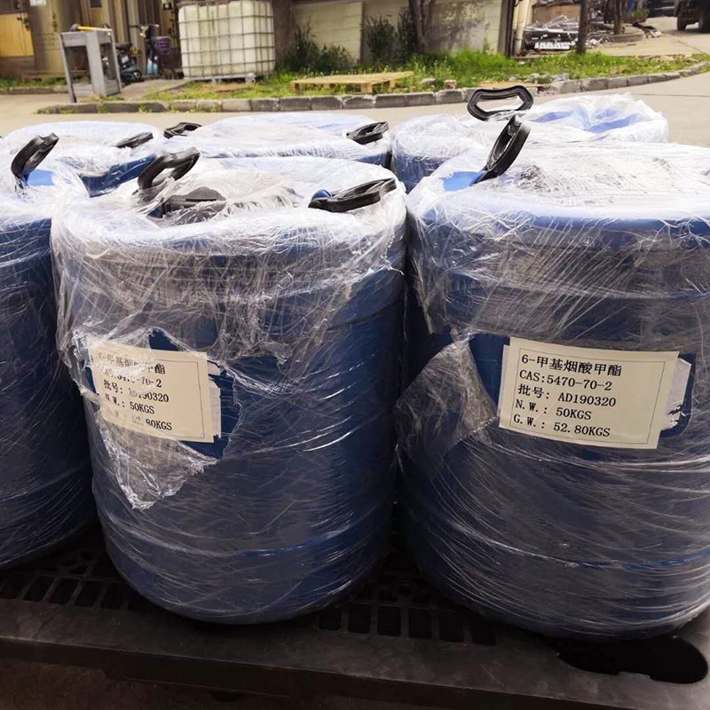 6-甲基烟酸甲酯现货48公斤便宜出含量99%以上吡啶衍生物，医药中间体 厂家直销
