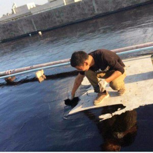 基层处理剂 冷底油双赢防水涂料厂家