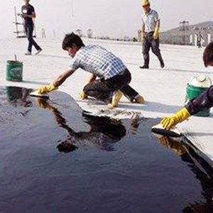 聚氨酯弹性防水涂料双赢防水厂家