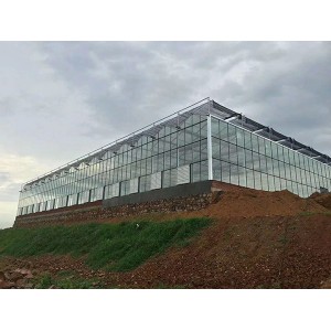 山东pc板温室大棚
