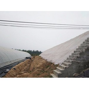 山东蔬菜大棚建设