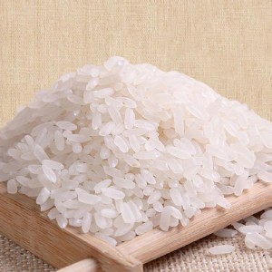 大米 米面淀粉