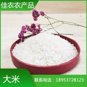 大米 米面淀粉