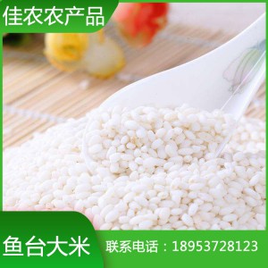 鱼台大米 白米