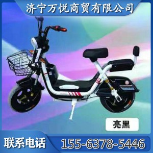 电动自行车小型踏板车小型助力电瓶车