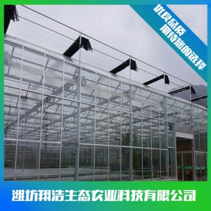文洛式玻璃温室建造商 连栋玻璃温室大棚建设 玻璃温室安装设计