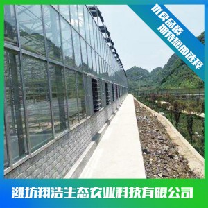 文洛式玻璃温室建造商 连栋玻璃温室大棚建设 玻璃温室安装设计