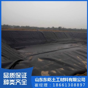 厂家供应农用防渗土工膜 复合防水hdpe土工膜 堤坝防渗膜