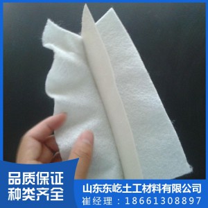 复合土工膜 复合土工膜厂家