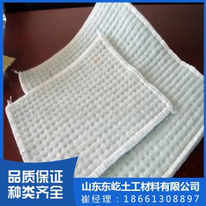 膨润土防水毯 膨润土防水毯厂家