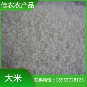 山东米厂大量现货供应鱼台大米 珍珠米 鱼台圆粒大米