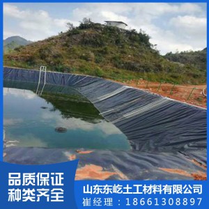 厂家供应农用防渗土工膜 复合防水hdpe土工膜 堤坝防渗膜