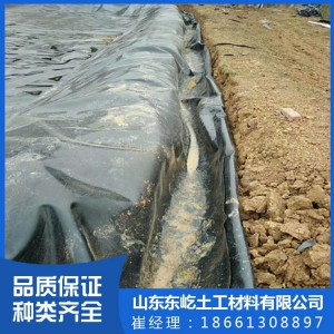 HDPE复合土工膜 藕池鱼塘防渗土工膜 公路养护专用土工膜批发厂家
