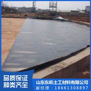土工膜厂家现货批发复合土工膜 防渗土工膜 池塘用防水土工膜 规格齐全