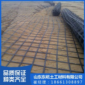 厂家供应钢塑土工格栅 路面加筋用钢塑土工格栅 单双向钢塑格栅 规格齐全