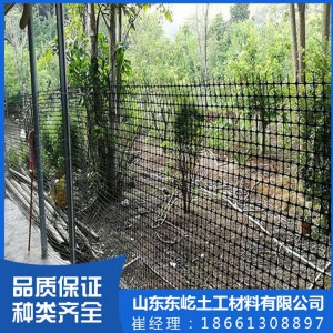 厂家直销单向塑料土工格栅 双向塑料土工格栅 土工格栅加工定制 规格齐全