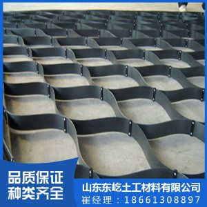 现货供应优质耐用土工格室 蜂巢格室 护坡TGLG土工格室