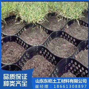 现货供应优质耐用土工格室 蜂巢格室 护坡TGLG土工格室
