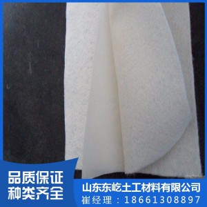 东屹土工设计加工各种防渗复合土工膜 HDPE土工膜 鱼塘养殖防渗土工膜 两布一膜 一布一膜