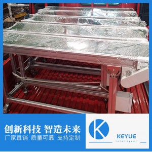 山东皮带输送线 生产厂家 支持定制