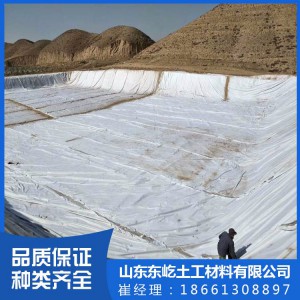 无纺土工布 针刺短丝土工布 防渗土工布 规格齐全 量大优惠