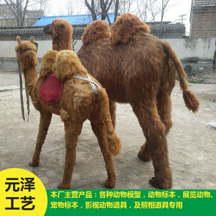 高仿真骆驼销售 造型逼真骆驼 专业定做
