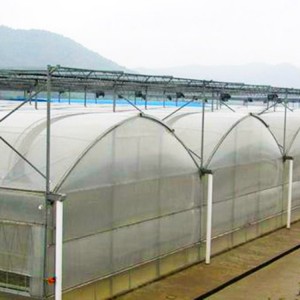 薄膜连栋温室 薄膜连栋温室厂家 薄膜连栋温室价格