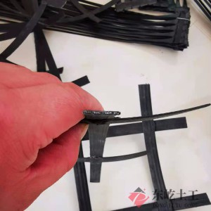 厂家现货供应双向土工格栅 钢塑格栅 养殖黑格子网