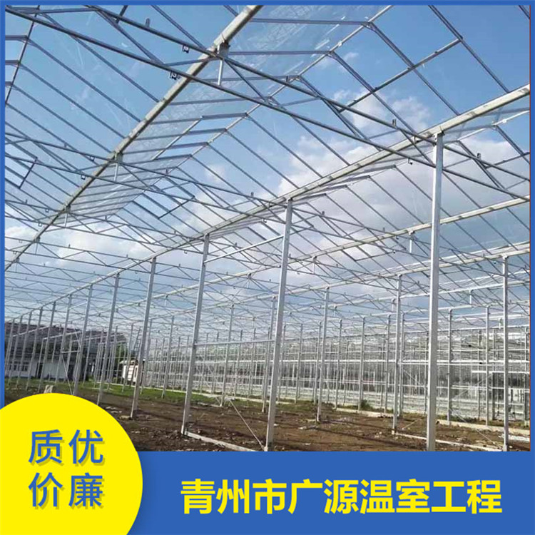 加工玻璃温室大棚 玻璃智能温室价格 承建厂家