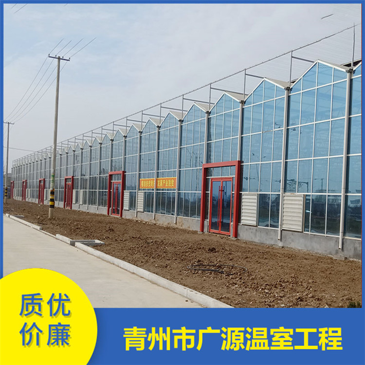 加工玻璃温室大棚 玻璃连栋大棚搭建 厂家直销