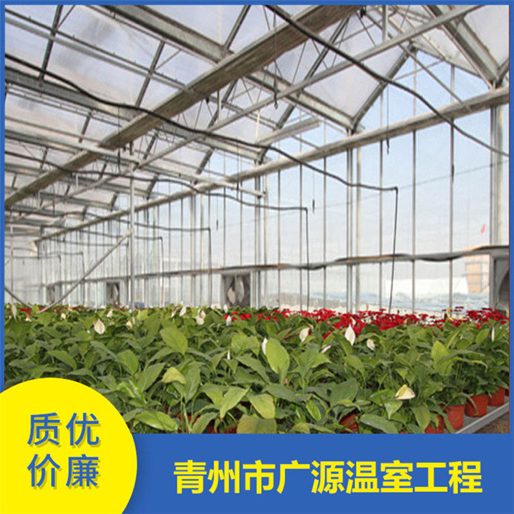 厂家承建玻璃连栋温室 玻璃连栋大棚搭建 欢迎咨询