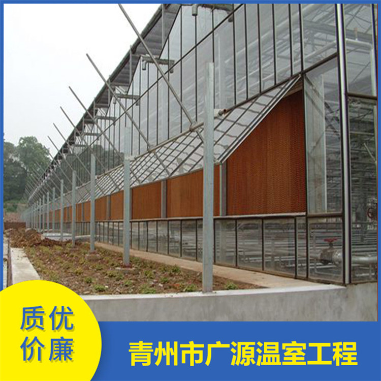 加工玻璃温室大棚 玻璃连栋大棚搭建 厂家直销
