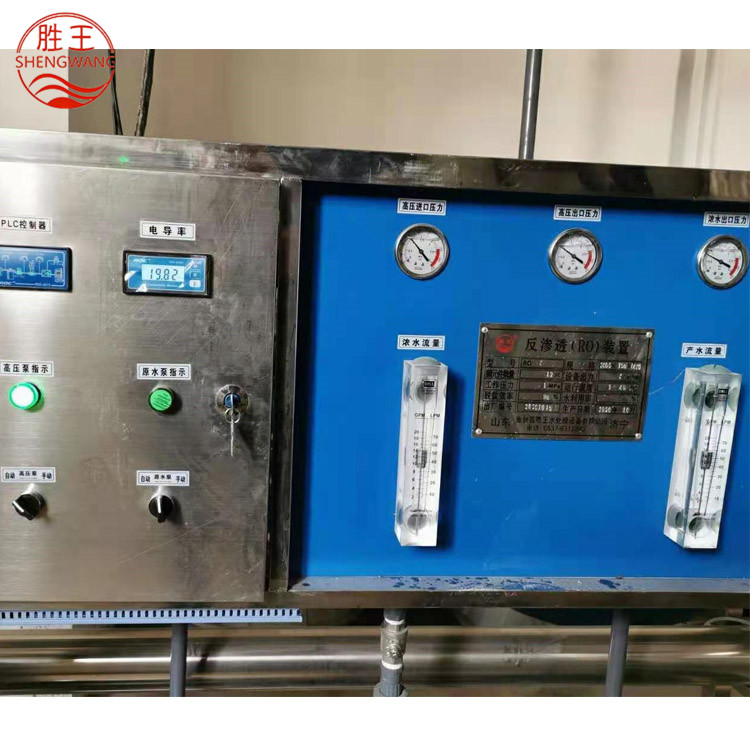 山东胜王3T/H反渗透设备 双级 厂家直销 规格可定制