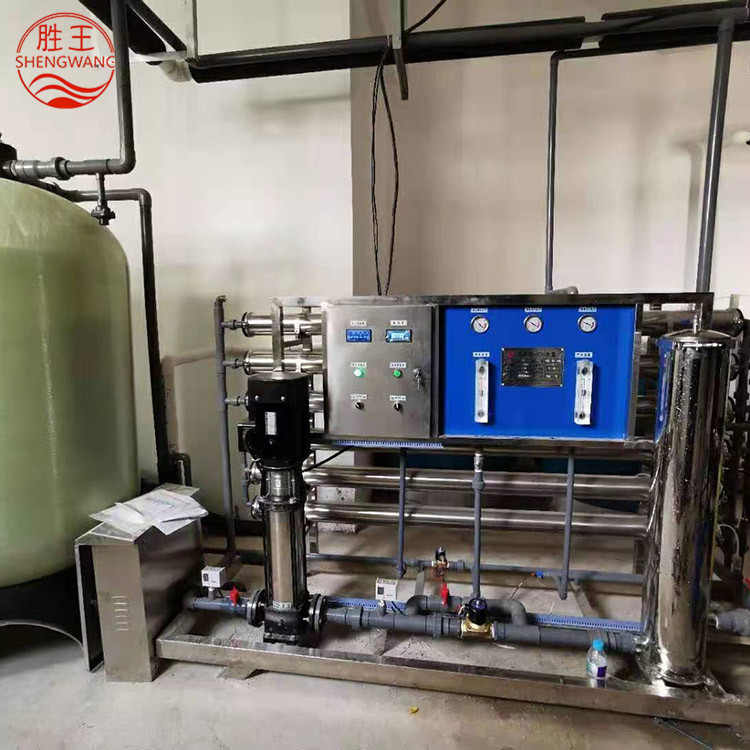 山东胜王3T/H反渗透设备 双级 厂家直销 规格可定制