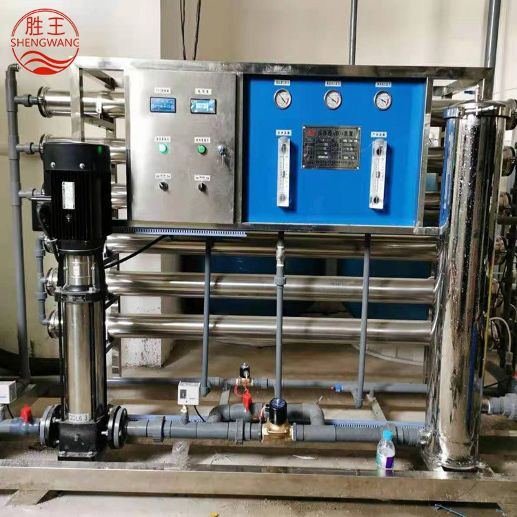 山东胜王3T/H反渗透设备 双级 厂家直销 规格可定制