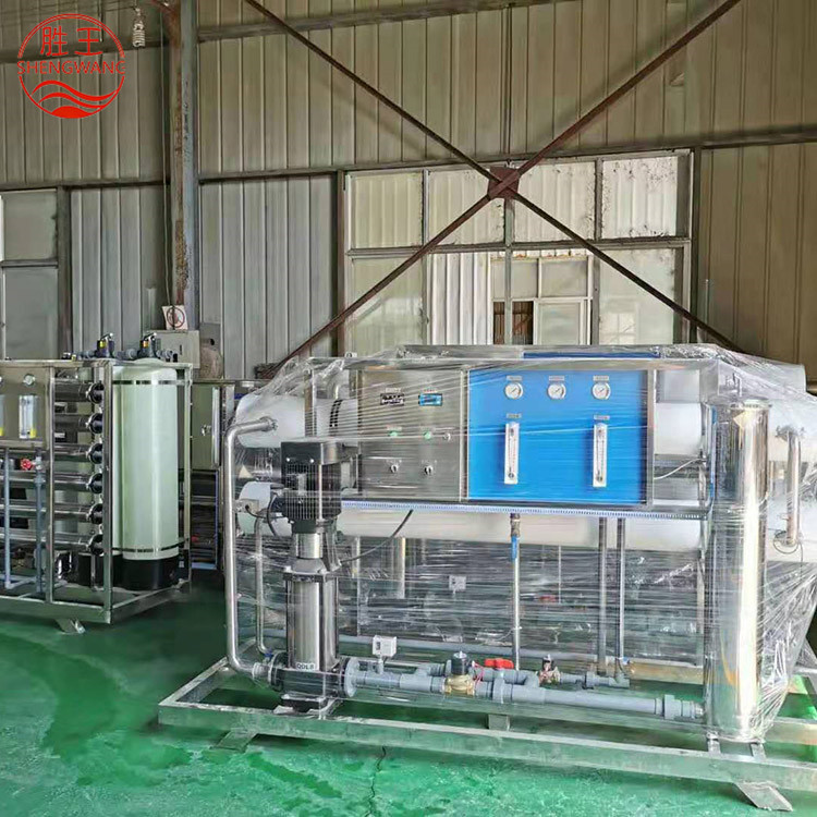 山东胜王3T/H反渗透设备 双级 厂家直销 规格可定制