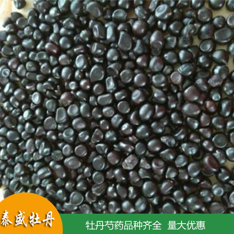 菏泽牡丹基地直供牡丹种子 油用牡丹籽 食品厂用 药用