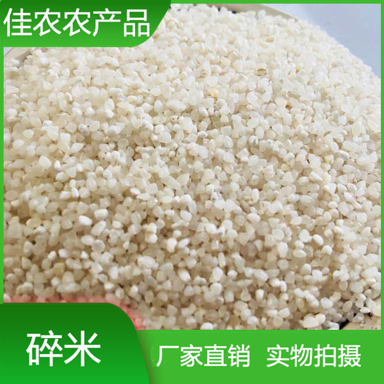 廊坊碎米加工厂家 食用酿酒饲料用米 熬粥碎米