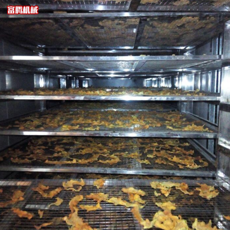 果蔬烘干机热风循环烘箱 食品干燥箱 源头厂家 可定制