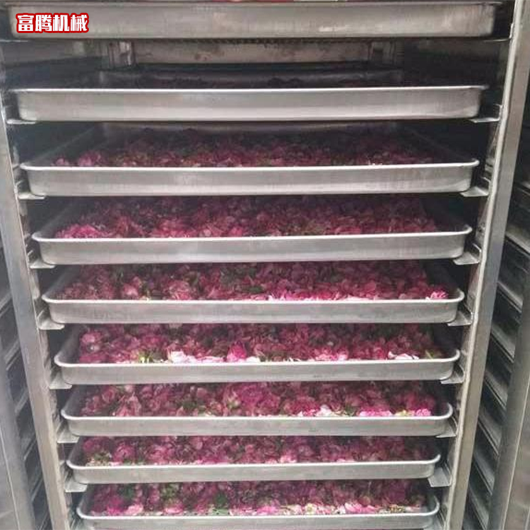 果蔬烘干机热风循环烘箱 食品干燥箱 源头厂家 可定制