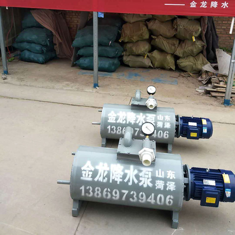 加工定制基坑降水泵 真空降水泵 星龙水泵