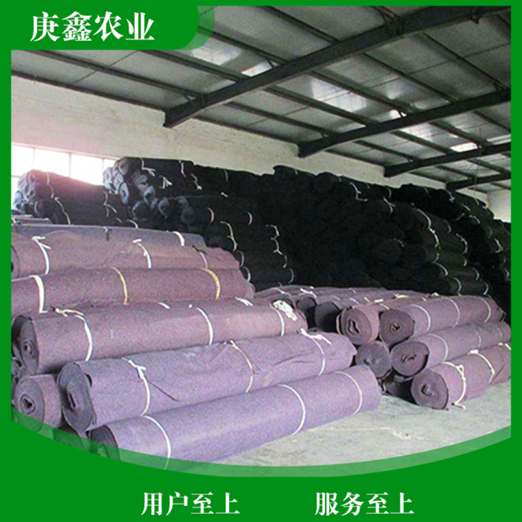 大棚保温被生产厂家 防寒大棚保温被价格 欢迎咨询选购