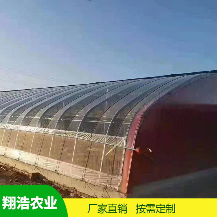 河北育苗单体拱棚 蔬菜薄膜拱形温室 简易单体拱棚温室大棚定制