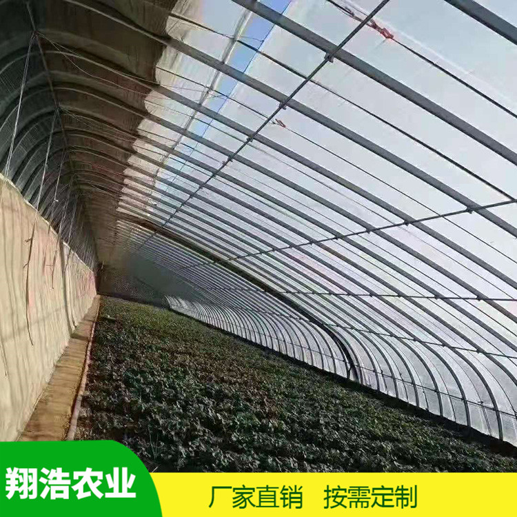 山西育苗单体拱棚 蔬菜薄膜拱形温室 简易单体拱棚温室大棚定制