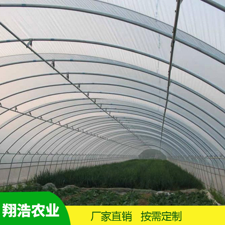 山西育苗单体拱棚 蔬菜薄膜拱形温室 简易单体拱棚温室大棚定制