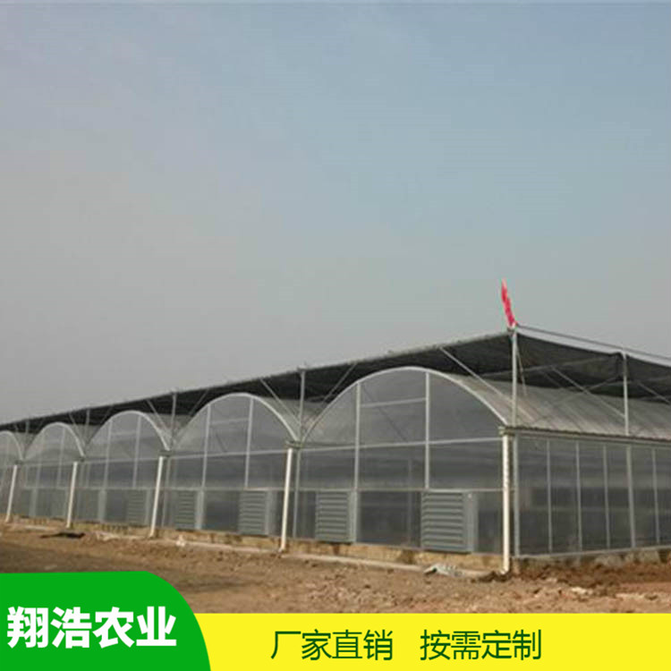 山西育苗单体拱棚 热镀锌椭圆管拱棚 简易单体拱棚温室大棚定制