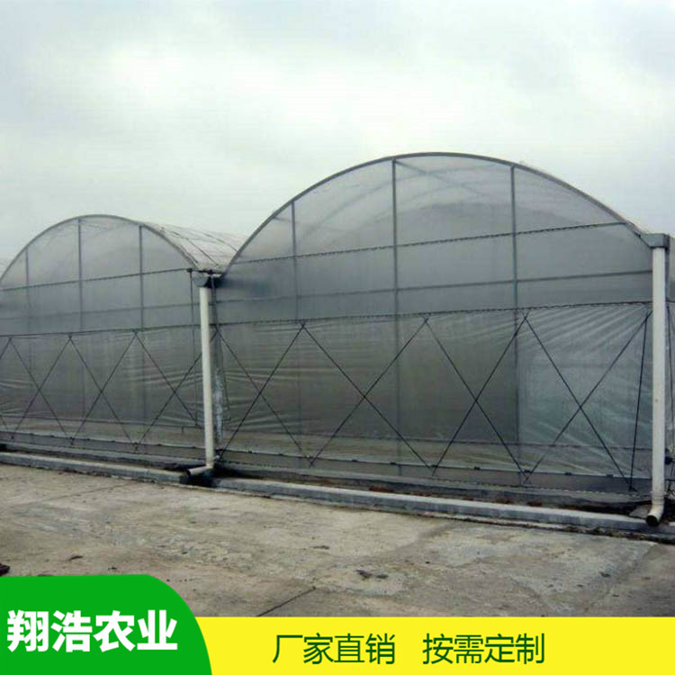 河北育苗单体拱棚 热镀锌椭圆管拱棚 简易单体拱棚温室大棚定制