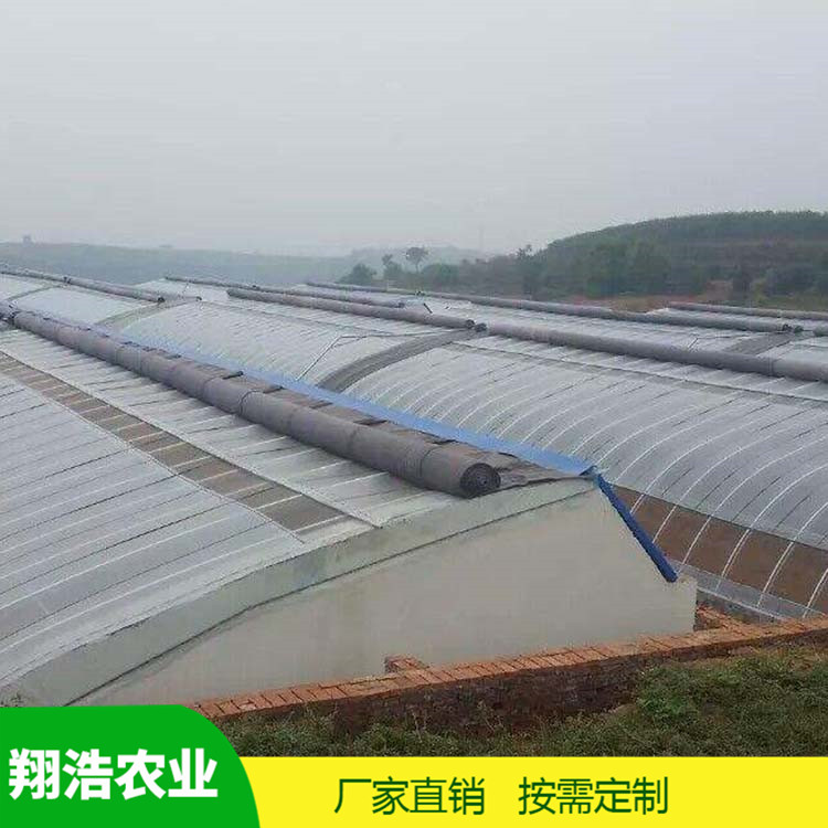 河北育苗单体拱棚 蔬菜薄膜拱形温室 简易单体拱棚温室大棚定制