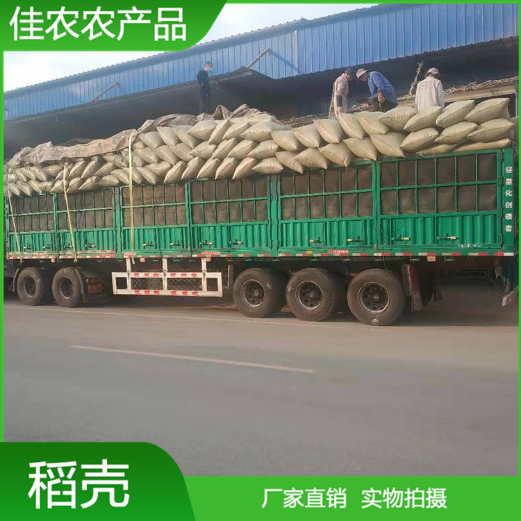 加工生产散装稻壳 压缩压块稻壳 牧场垫料