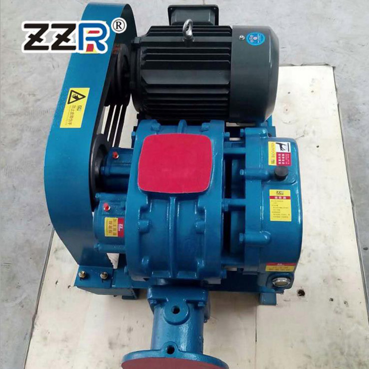 ZZR100型三叶罗茨鼓风机 罗茨风机真空泵 型号齐全 可定制